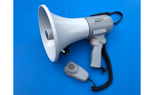 rental29